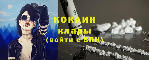 гидра Аркадак