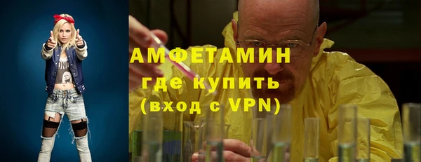 ПСИЛОЦИБИНОВЫЕ ГРИБЫ Козловка