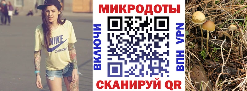 Галлюциногенные грибы прущие грибы  купить   Дыгулыбгей 